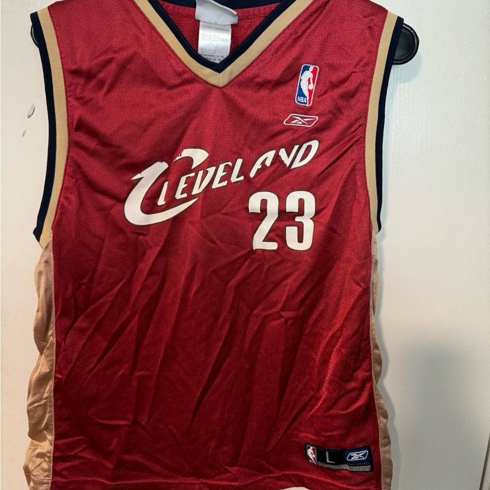 Boys L 14-16 LeBron James Cleveland Caviler jersey